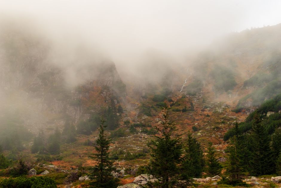 Serene misty mountain landscape with evergreen trees and a blanket of fog.