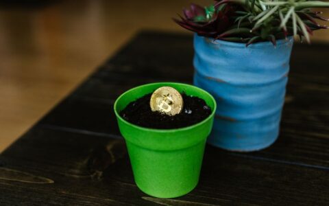 A Bitcoin coin embedded in soil within a green pot, symbolizing growth and investment.